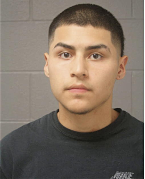ALEJANDRO A DELEON, Cook County, Illinois