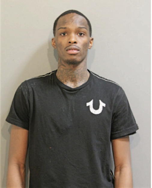 CURTIS A ECHOLS, Cook County, Illinois