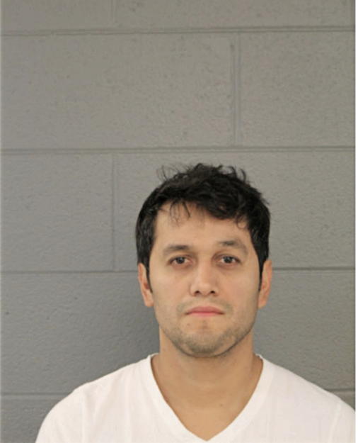 JUAN M ESTRADA, Cook County, Illinois