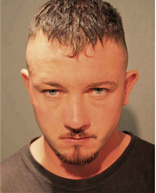SEAN P FAHERTY, Cook County, Illinois
