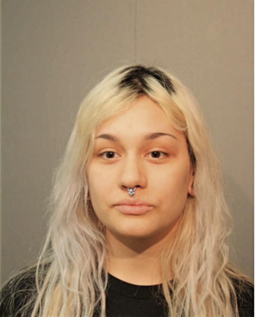 AUMI D FLEISCHMANN, Cook County, Illinois