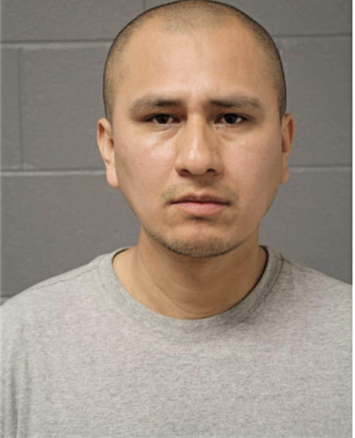 SILVANO E GALLEGOS, Cook County, Illinois