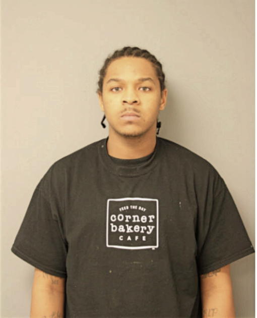 NAPHTALI D HUDSON, Cook County, Illinois