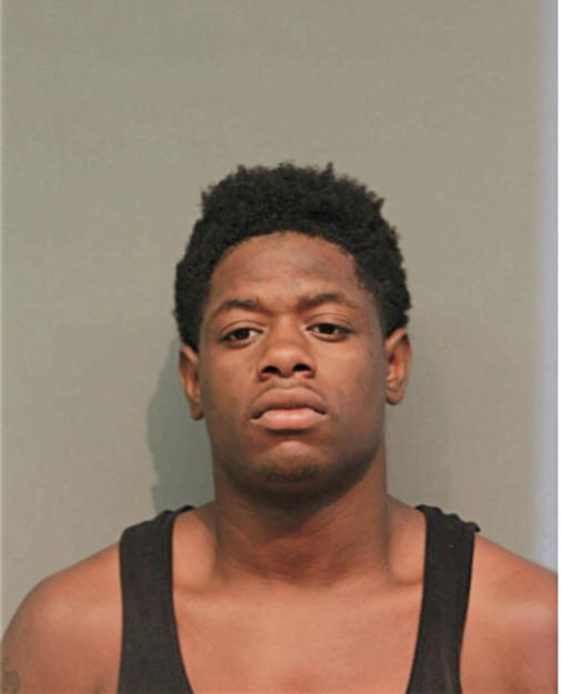 TREVON K JOHNSON, Cook County, Illinois