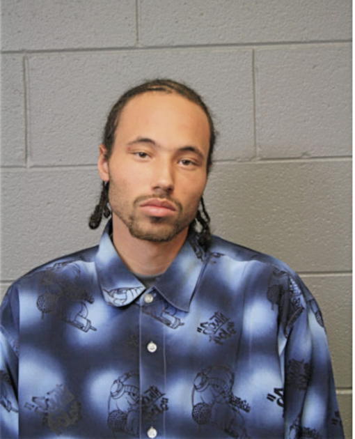 DAVID W JONES, Cook County, Illinois