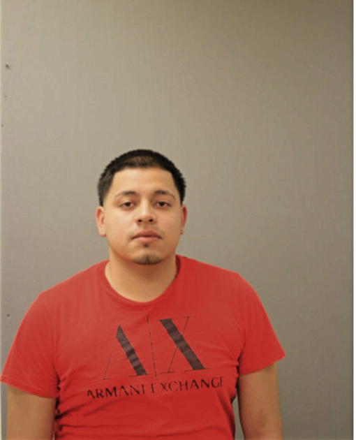 RENE L LOPEZ, Cook County, Illinois
