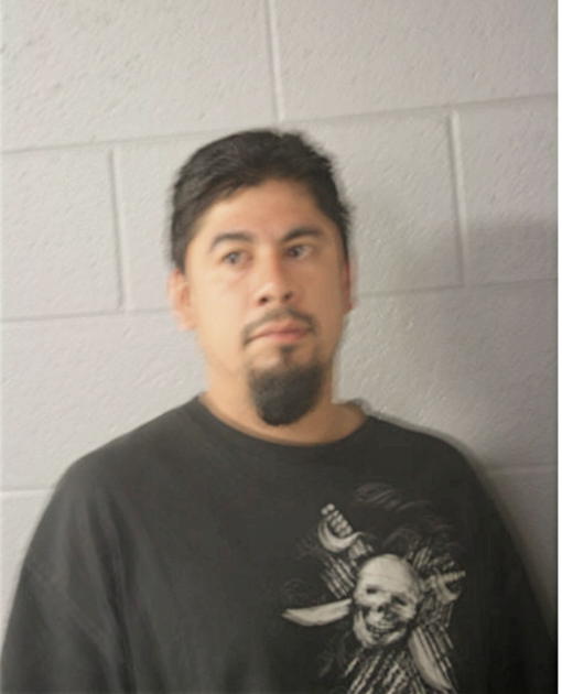 RICARDO NMI MAGANA, Cook County, Illinois