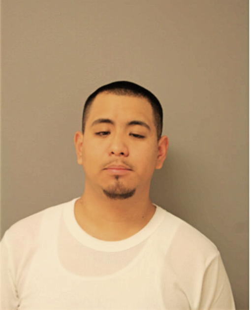 JUAN J MENDOZA-HERNANDEZ, Cook County, Illinois