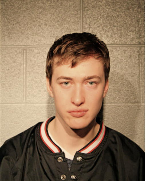 AUSTIN J METTLER, Cook County, Illinois