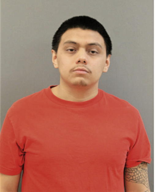 EDISSON ORTEGA, Cook County, Illinois