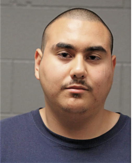 DENNIS R PIN, Cook County, Illinois
