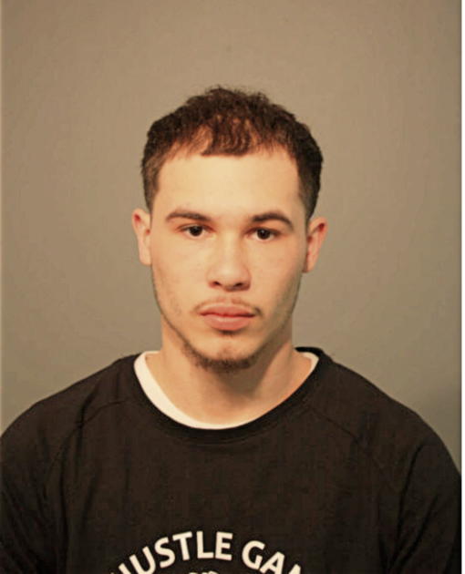 ALEXIS J REYES, Cook County, Illinois