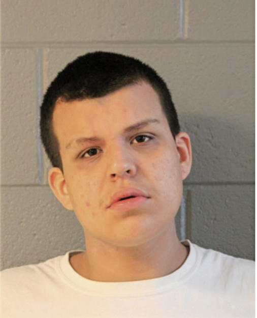 ROBERTO M RODRIGUEZ, Cook County, Illinois