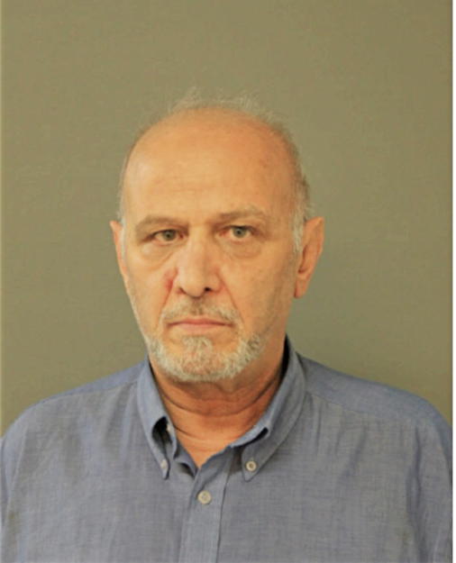 MOHAMMAD REZA SEYF TOLOOI, Cook County, Illinois
