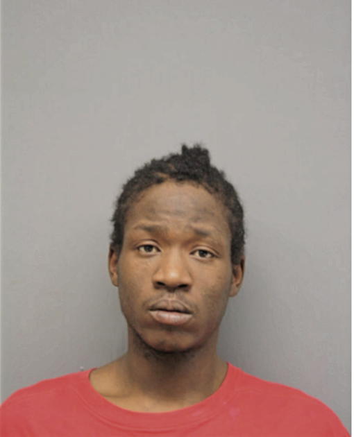 LARRY C WHITE, Cook County, Illinois