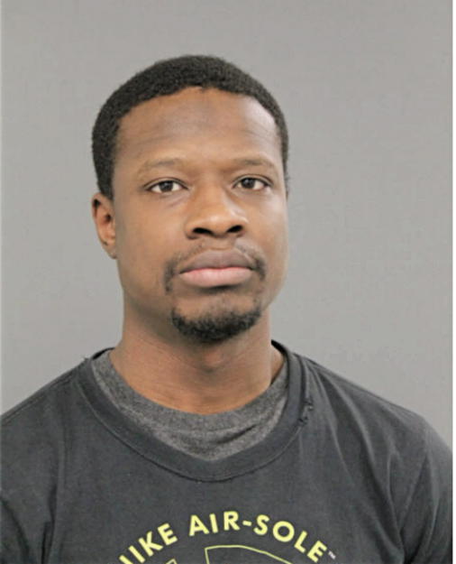 MICHAEL L AMISON, Cook County, Illinois