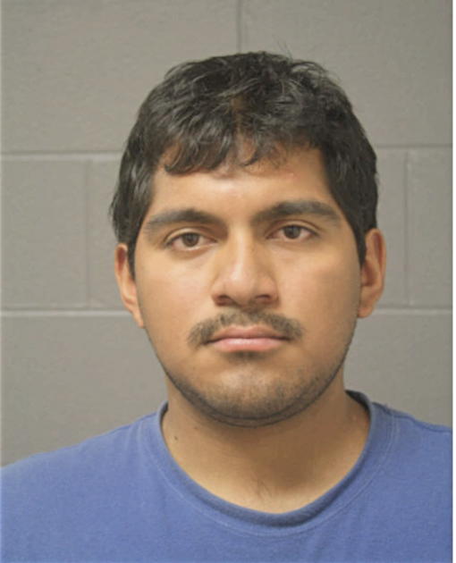 LUIS ANDRADE, Cook County, Illinois