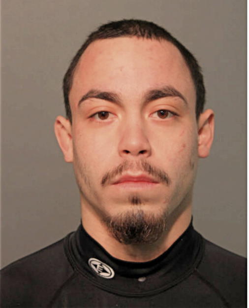 DAVID ANTHONY CHAVEZ, Cook County, Illinois