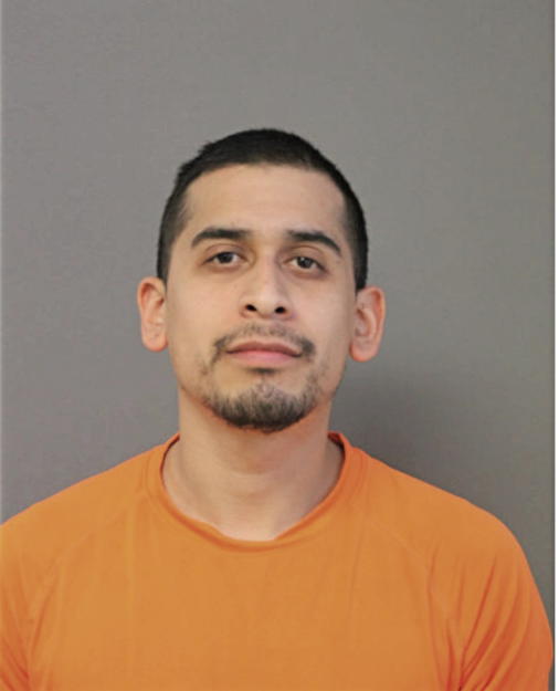 ERIK J CHAVEZ, Cook County, Illinois