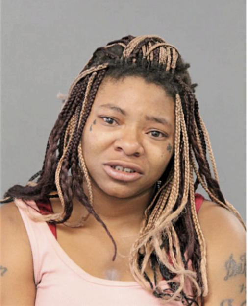 DOMINIQUE T COLE, Cook County, Illinois
