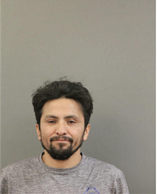 RICHARDO DENA, Cook County, Illinois