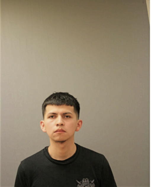 DANIEL M DOMINGUEZ, Cook County, Illinois