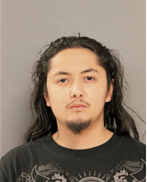 EMMANUEL ESTRADA, Cook County, Illinois