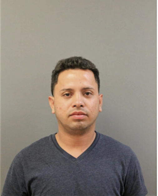 ALBERTO FLORES, Cook County, Illinois