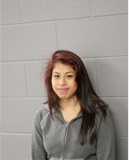 ODALYS FLORES, Cook County, Illinois