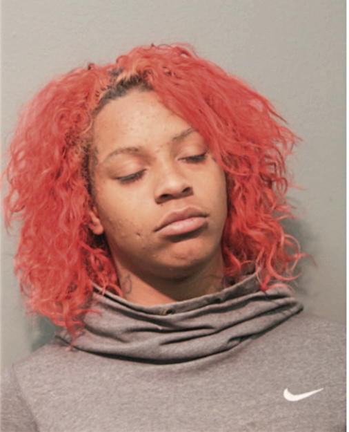 BRITTANY R HILL, Cook County, Illinois