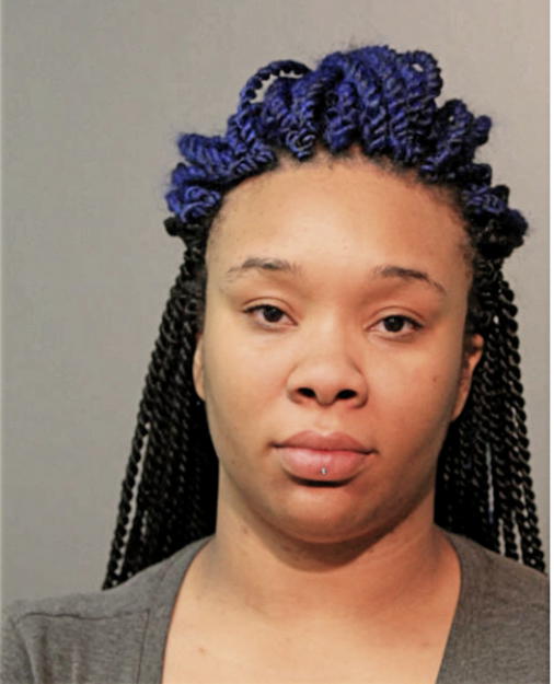 BRITTANY L HORTON, Cook County, Illinois