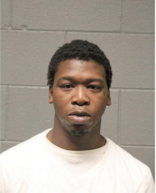 CHRISTOPHER L JONES, Cook County, Illinois