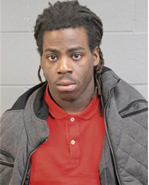 BRIAN D KING, Cook County, Illinois