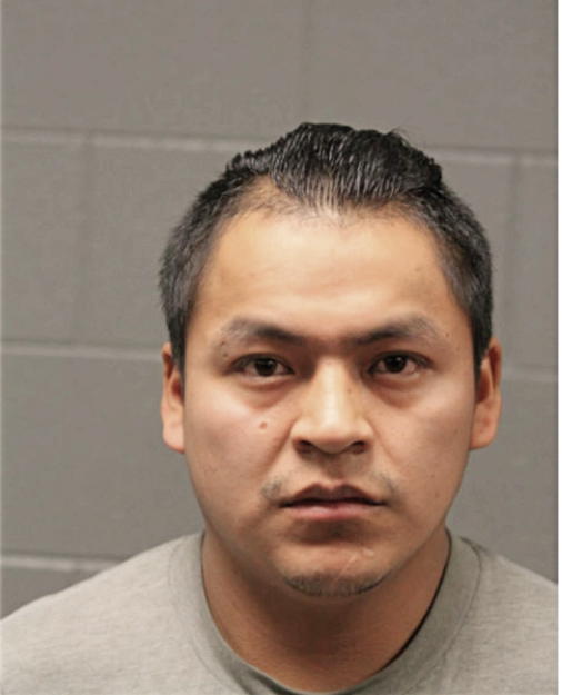 LUIS E LOZANO-CONTENTO, Cook County, Illinois