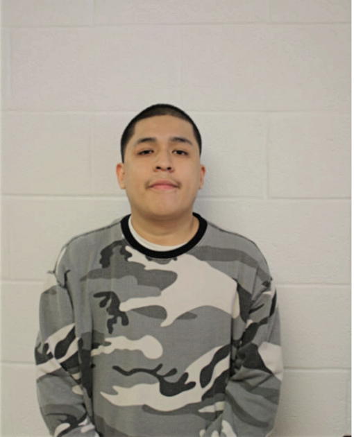 LUIS MARTINEZ, Cook County, Illinois