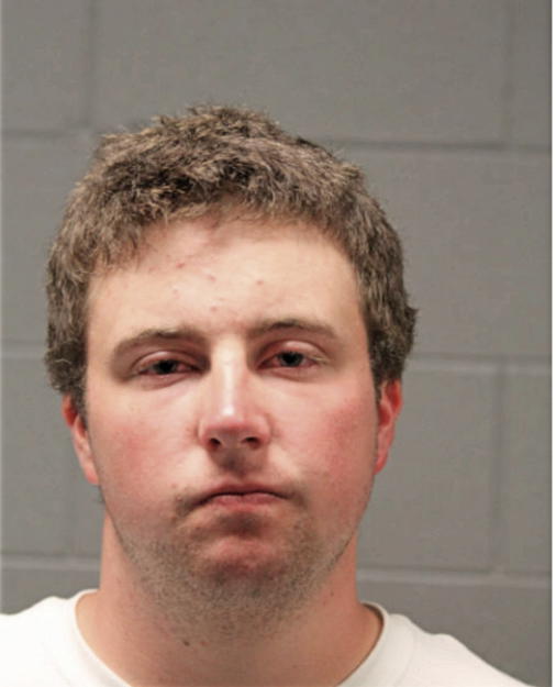 LUKE C MAYER, Cook County, Illinois