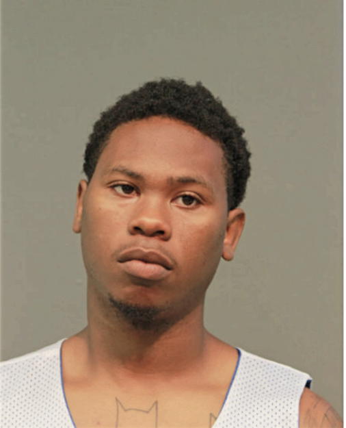 TRENT R MCNELL, Cook County, Illinois