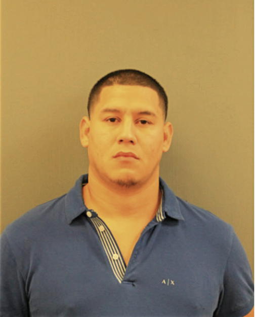 IRVIN A MENDOZA, Cook County, Illinois
