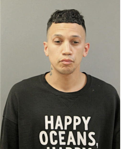 CARLOS ORTIZ, Cook County, Illinois