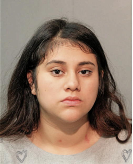 SALMA ORTIZ, Cook County, Illinois