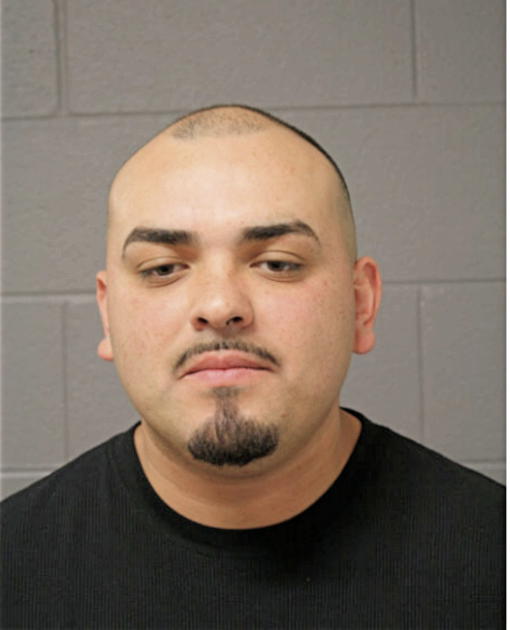 ALBERT PALOMAR, Cook County, Illinois