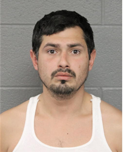 FRANSISCO A PEREZ, Cook County, Illinois