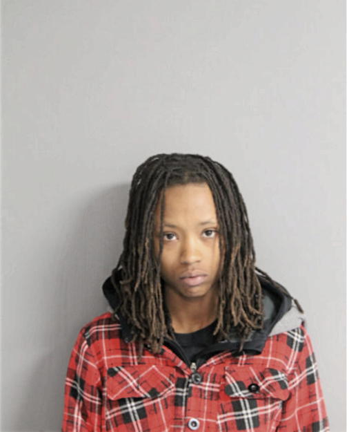 MEGAN S PRUDE, Cook County, Illinois