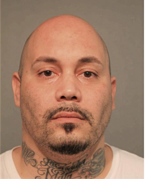 LUIS A RIVAS, Cook County, Illinois