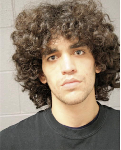 LEONARDO SANCHEZ, Cook County, Illinois