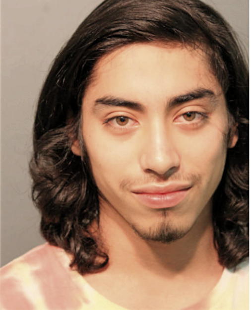 DAVID A TORRES, Cook County, Illinois