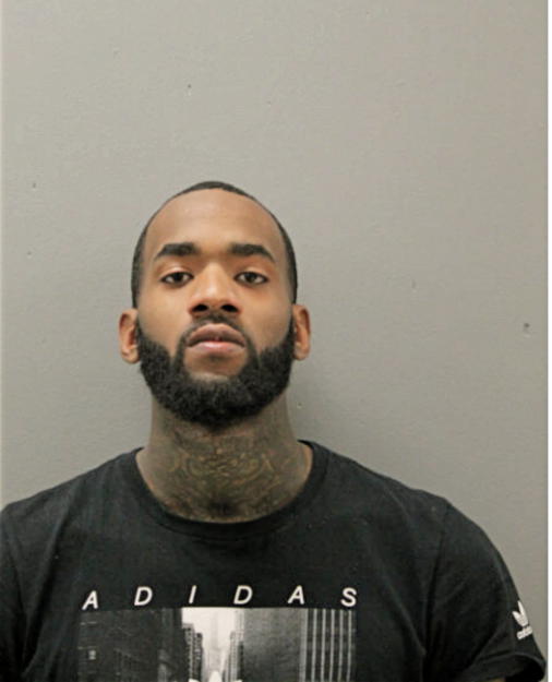 ALLEN L WILLIAMS, Cook County, Illinois