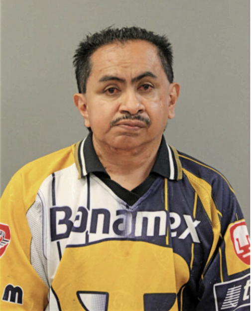 ANGEL BAHENA, Cook County, Illinois