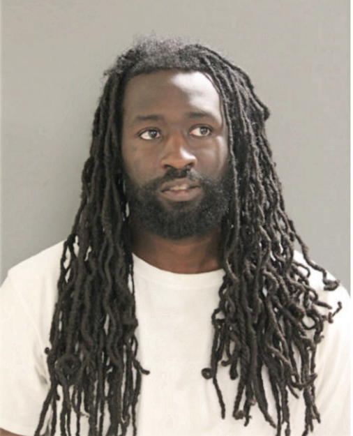 DARRYL D BIRGE, Cook County, Illinois