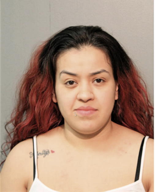 ASHLEY L BRUNO, Cook County, Illinois